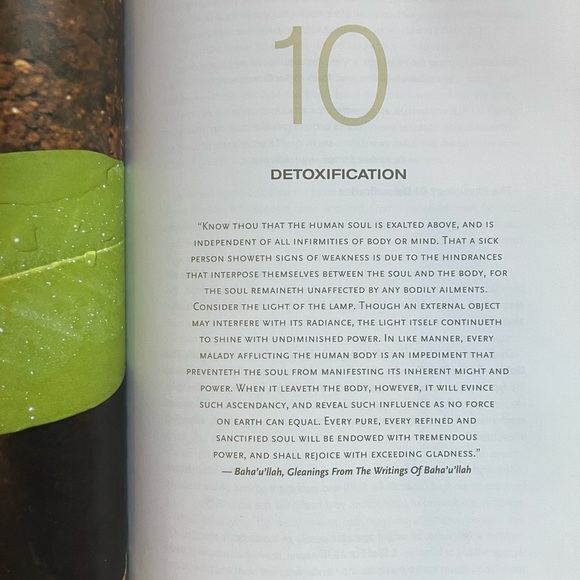 The Sunfood Diet Success System by David Wolfe 8th ed. - Picture 10 of 13